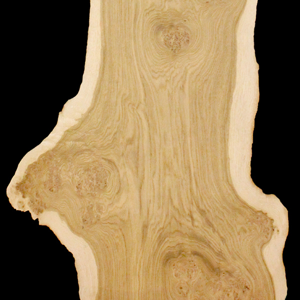 Europäische Eiche Life Tree Schorn And Groh Furniere Veneers 0404